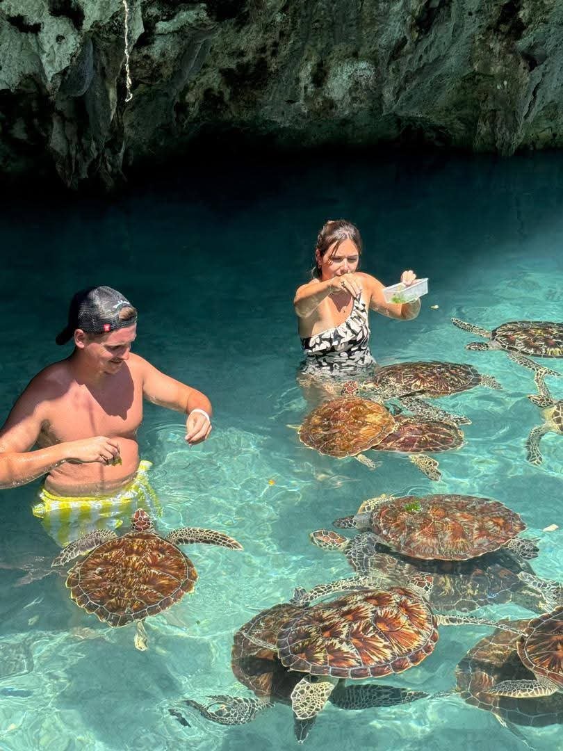 Mnemba & Dolphin Tour Zanzibar