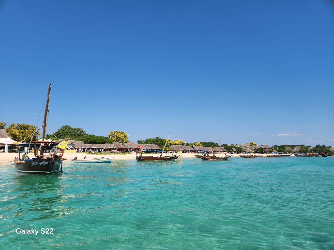 Safari Blue Zanzibar