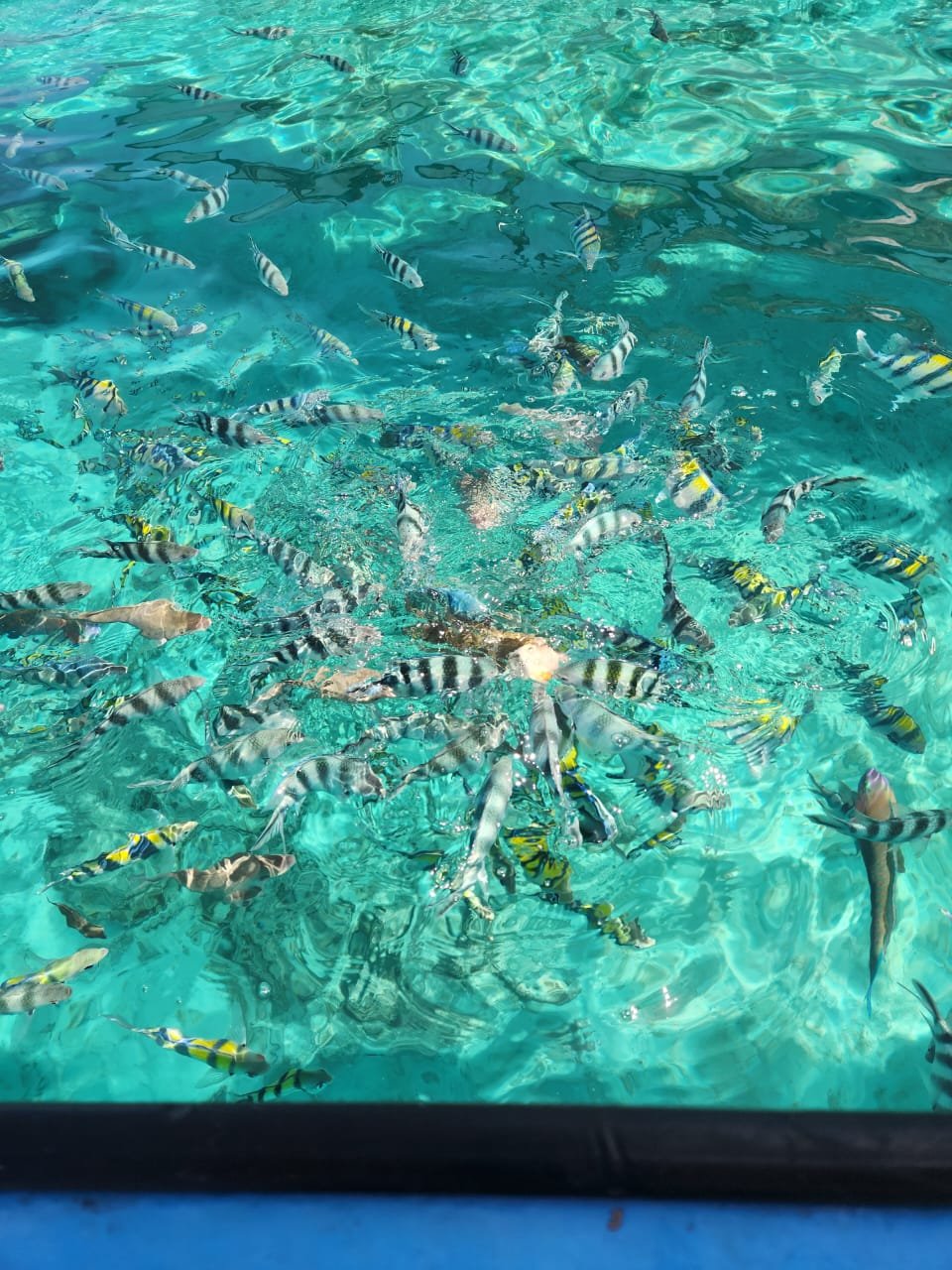 Zanzibar Sandbank