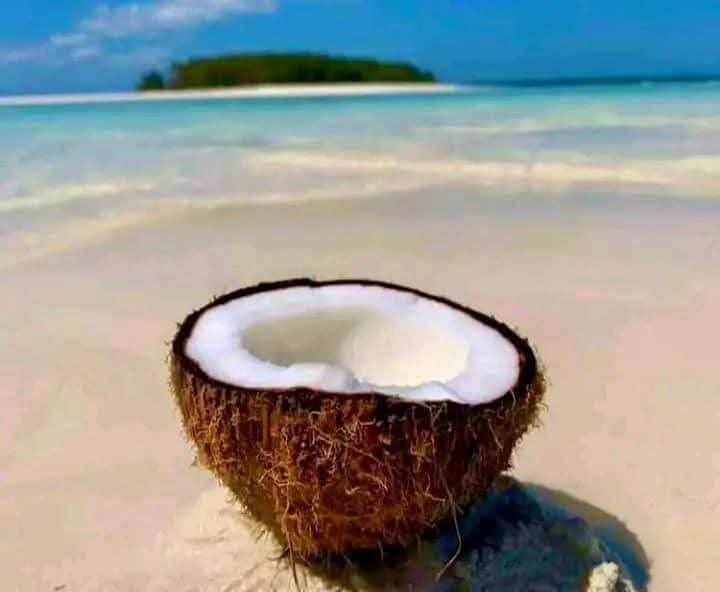 Safari Blue Zanzibar excursion